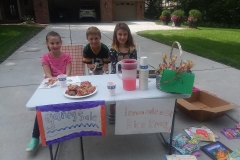 LemonadeStand